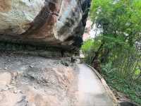 Cave Art & Jungle Vibes