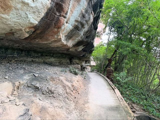 Cave Art & Jungle Vibes