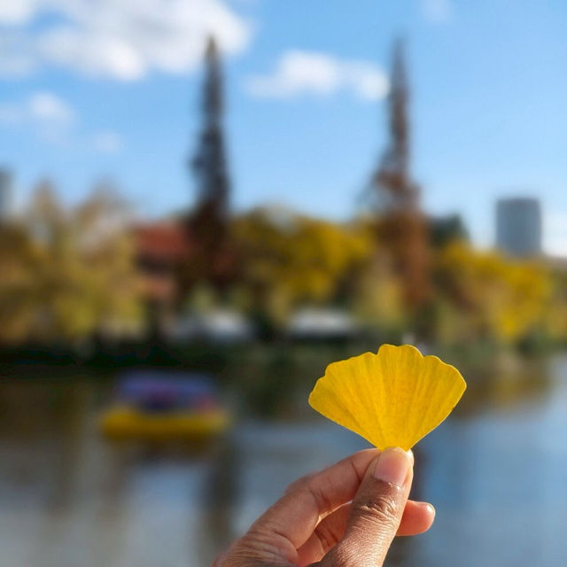 สวนสาธารณะGreen lakeในวันใบไม้เปลี่ยนสี
