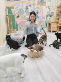 Catster by Kingdomoftigers พระประแดง