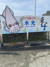 【佐賀・呼子】絶品イカ料理を味わいに行こう🦑