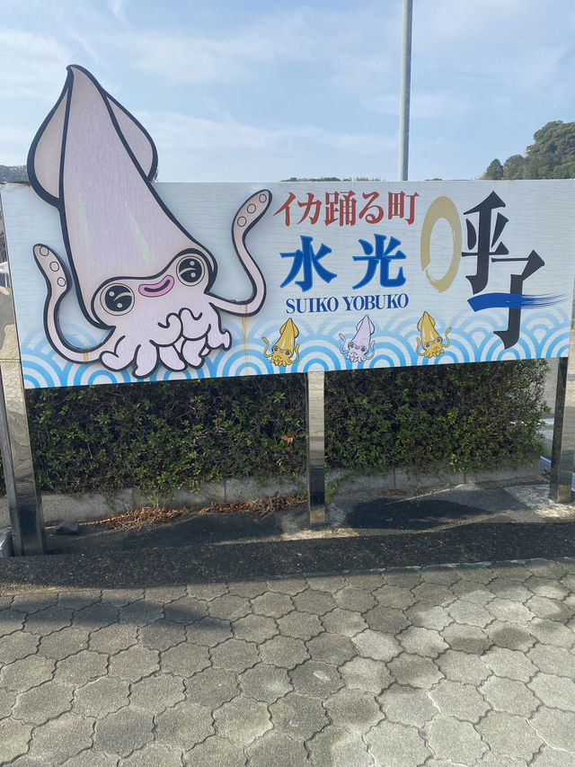 【佐賀・呼子】絶品イカ料理を味わいに行こう🦑