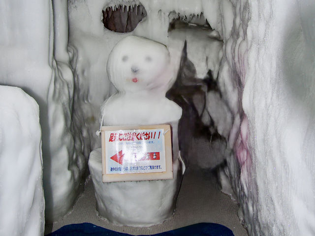 ❄️ Chilling Experience at Hokkaido Ice Pavilion