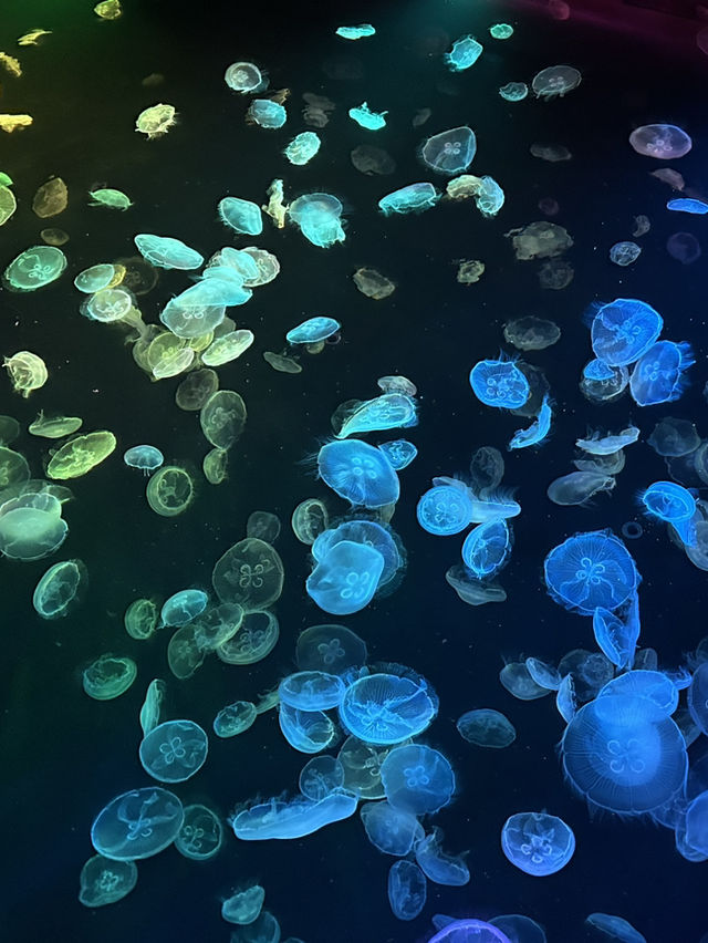 Sumida Aquarium🐠