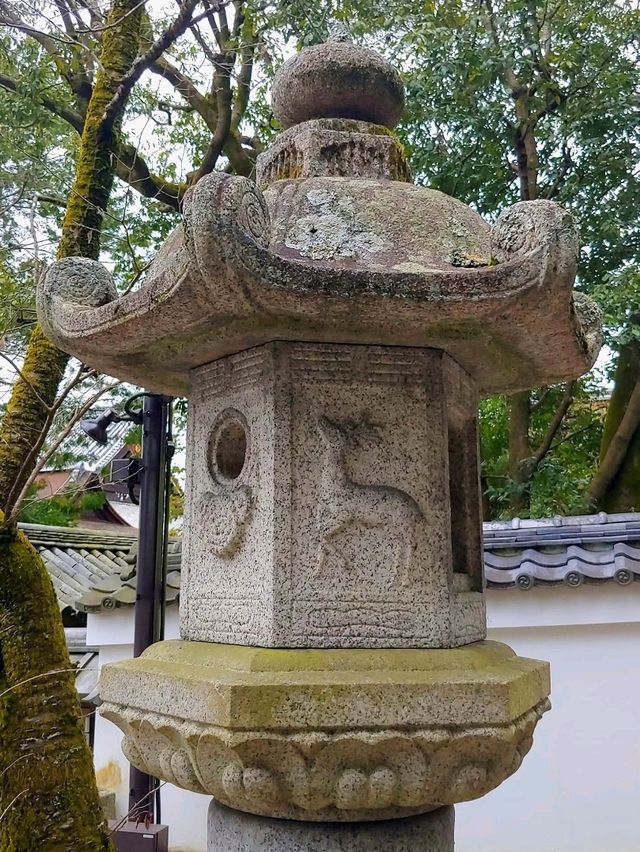 Whispers of Peace at Chion-in Temple, Kyoto