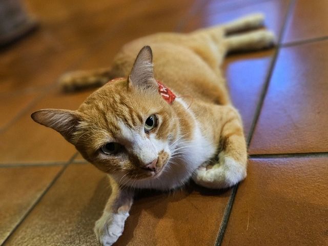 普吉島的世外桃源～Sinae 