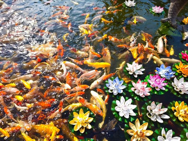 Donglin Temple 🇨🇳🙏