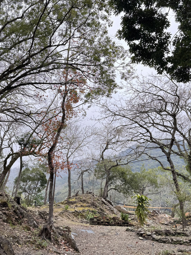 泰安-虎山吊橋