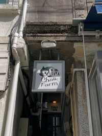 CHALK FARM