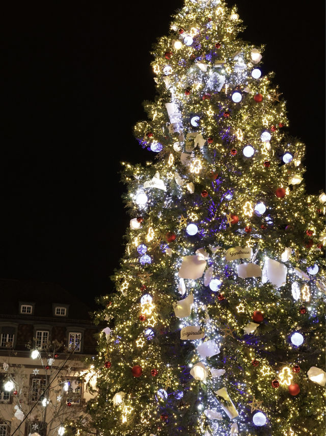 【まるで絵本の世界】フランス、ストラスブール ロマンティックすぎる本場クリスマス
