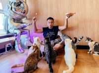 Cat Sky Bar Cafe - Pattaya