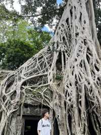 🧝‍♀️ Tomb Raider Vibes at Ta Prohm, Angkor Wat