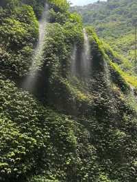 Air Terjun Madakaripura, Probolinggo (East Java)