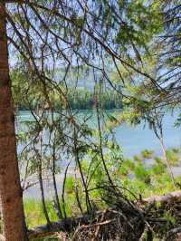 Turquoise Waters and Pine Forests by Kanas Lake