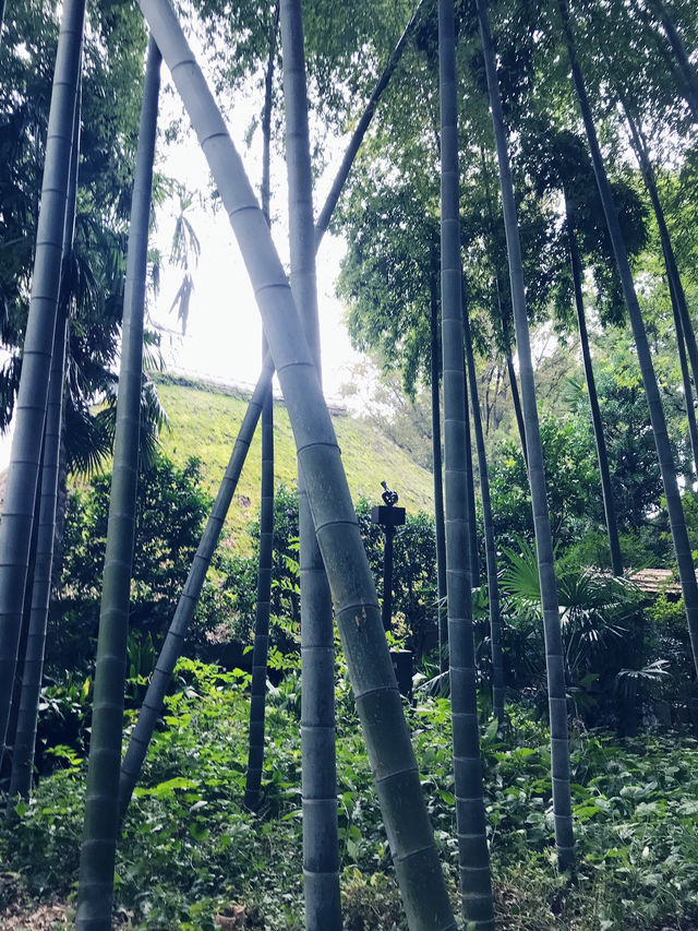 【入場無料の世田谷区立岡本公園民家園と　岩崎家廟堂、静嘉堂文庫財団のクラシカルな建物】