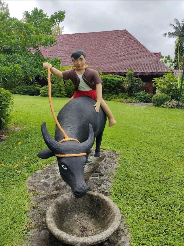 Waterfalls & Heritage: Villa Escudero Escape