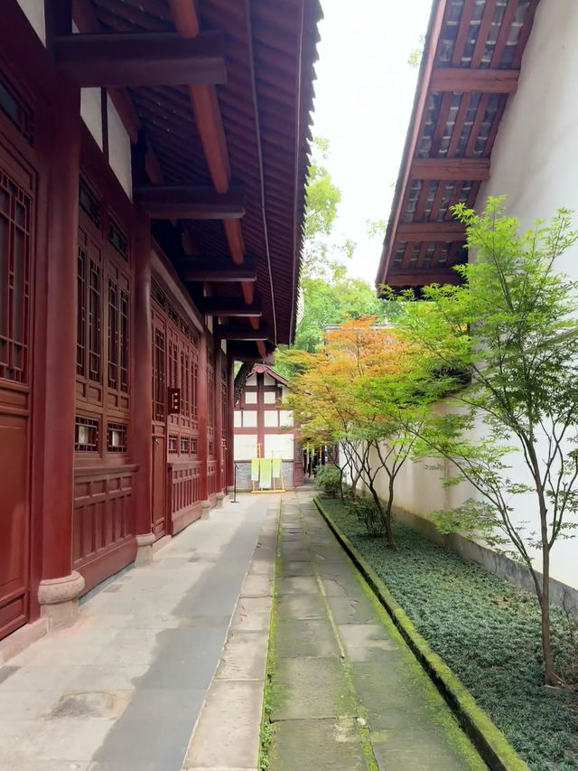 🌿หลบความวุ่นวายที่ “กระท่อมตู้ฝู่” ในเฉิงตู