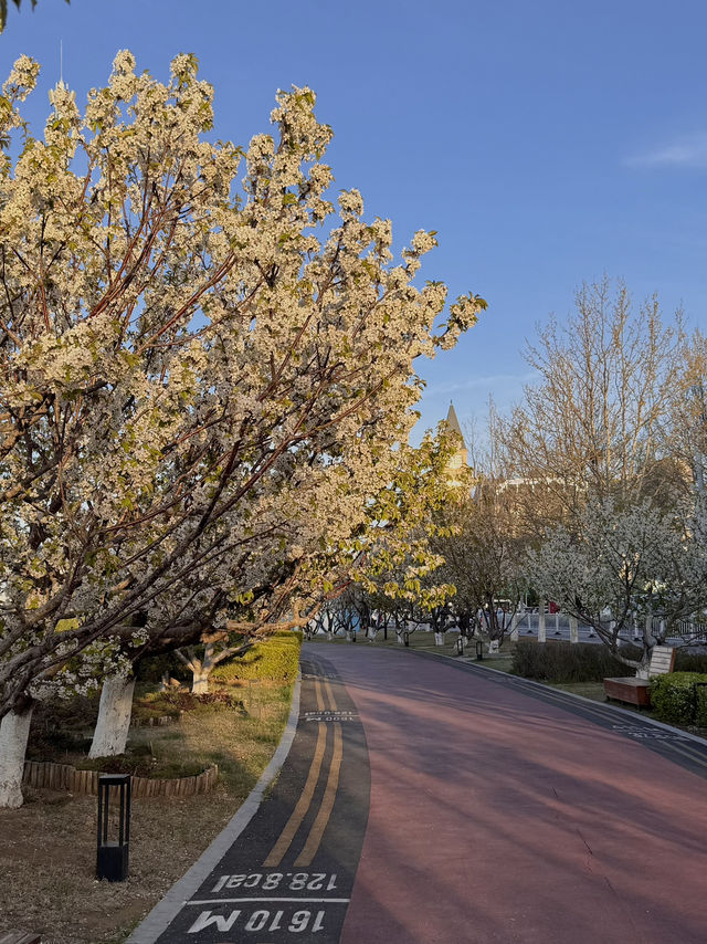 Embankment in Dalian got such a glow-up! ✨ Seriously, it's looking amazing now.