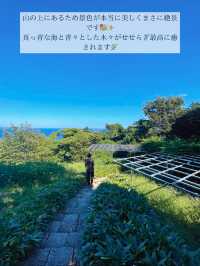 🖼知る人ぞ知る！自然の中にある博物館 in 小田原🖼