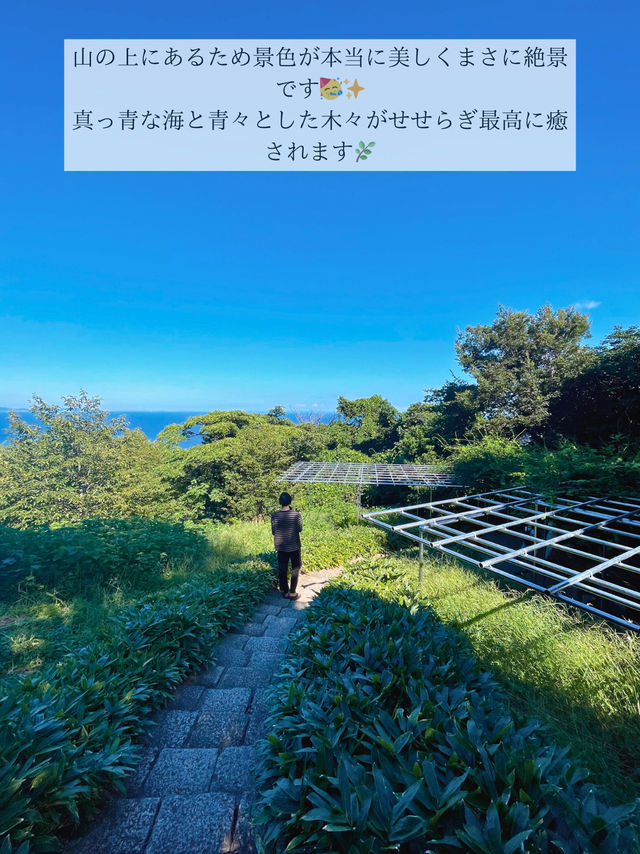 🖼知る人ぞ知る！自然の中にある博物館 in 小田原🖼