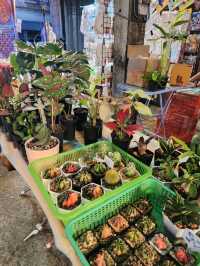 เที่ยวย้อนวันวานที่ตลาดจีนซากแง้ว