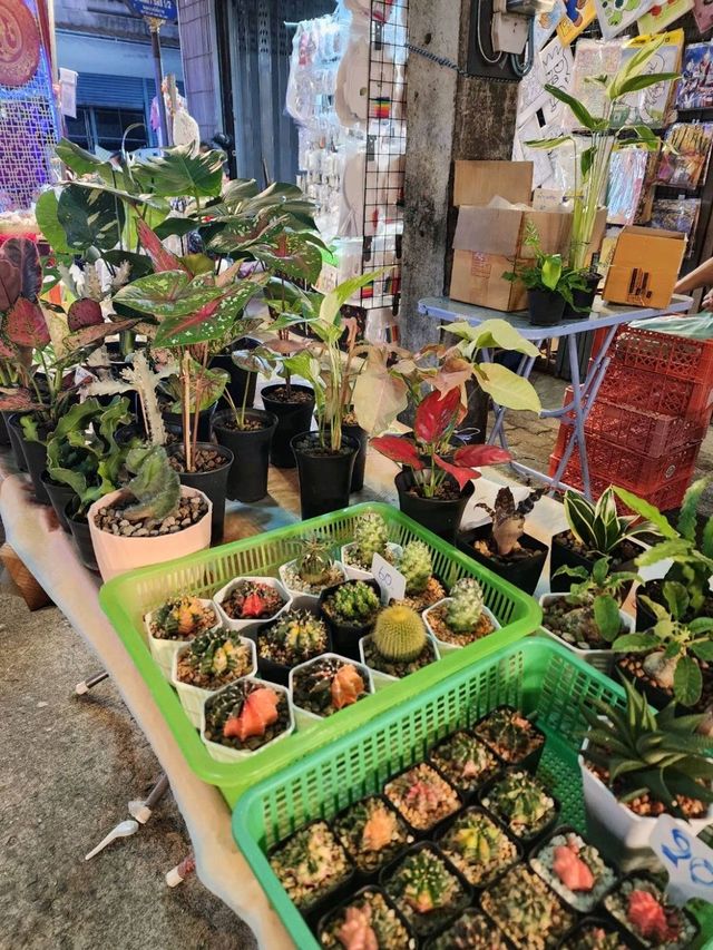 เที่ยวย้อนวันวานที่ตลาดจีนซากแง้ว