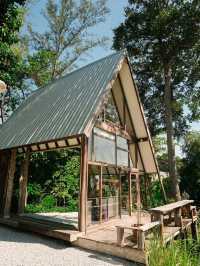 Brown Cabin Chocolate Cafe 🌲🌲