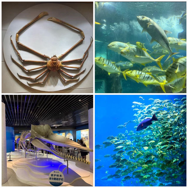 【中国/青島海底世界】