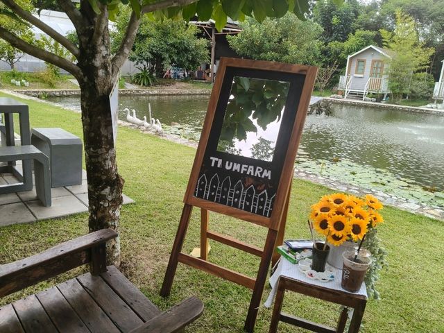 คาเฟ่เปิดใหม่ศรีราชา THUM FARM CAFE