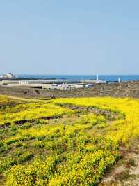 Integrating History with a Coastal Walk
