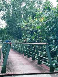 “Scenic Tranquil Escape at Cyberjaya Lakeside”