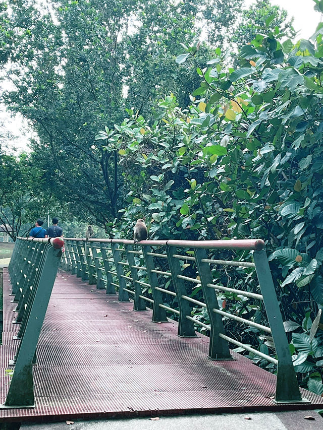 “Scenic Tranquil Escape at Cyberjaya Lakeside”