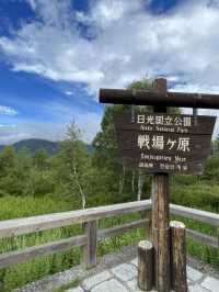 【日光】  真夏でも比較的爽快なハイキングを楽しめる・・