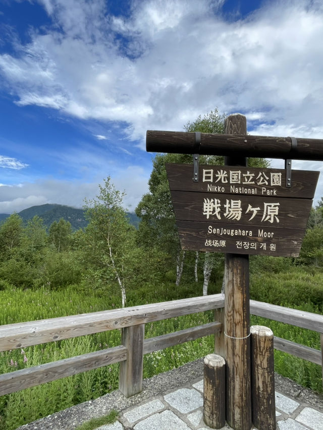 【日光】  真夏でも比較的爽快なハイキングを楽しめる・・