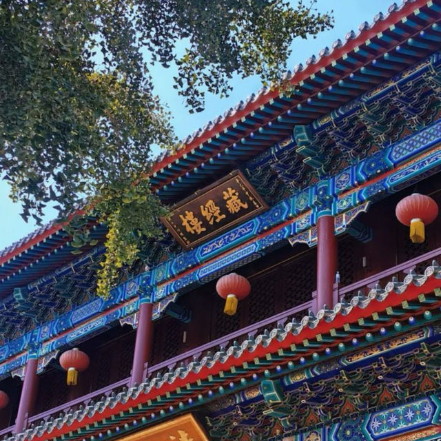 【中国/青島/湛山寺】