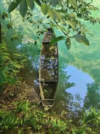 “Zhangjiajie Grand Canyon: Crystal Bridge over a Green Paradise”