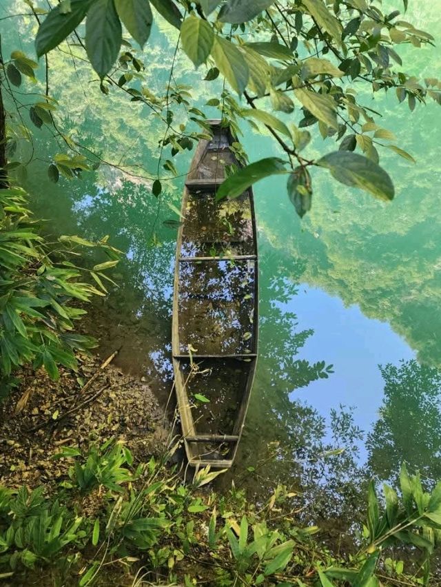 “Zhangjiajie Grand Canyon: Crystal Bridge over a Green Paradise”