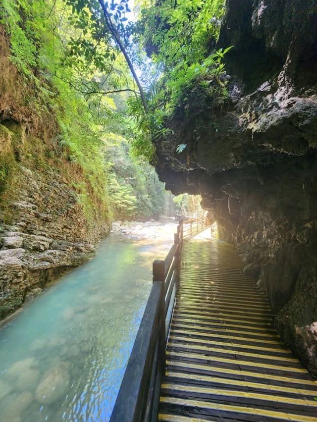 “Zhangjiajie Grand Canyon: A Glass Bridge to Nature’s Wonders”
