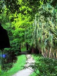 🌿Oxygen Day｜Step into a Miyazaki Summer in Guangzhou