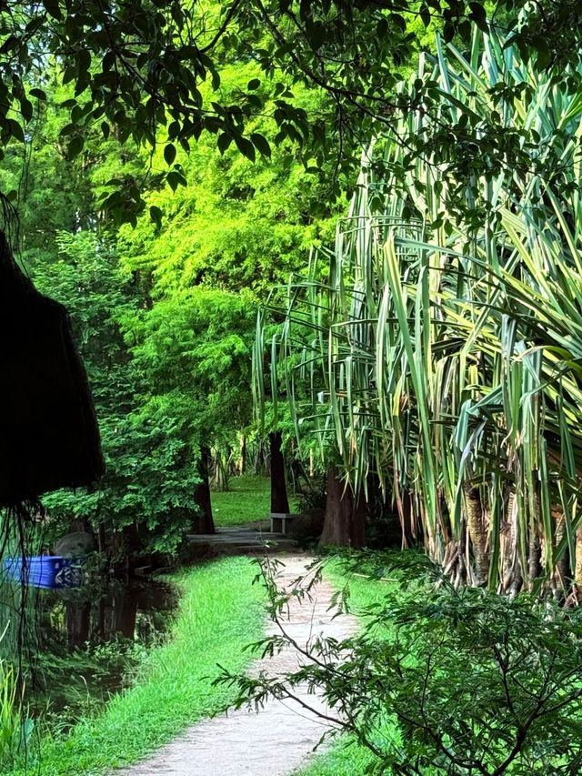 🌿Oxygen Day｜Step into a Miyazaki Summer in Guangzhou