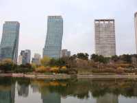 봄의 센트럴파크