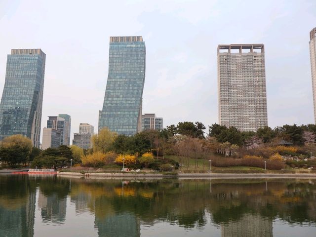봄의 센트럴파크