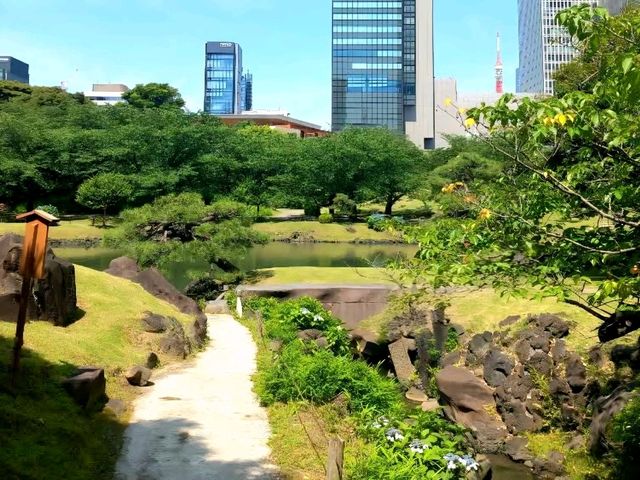A Calm Break at Kyu-Shiba-rikyu Gardens