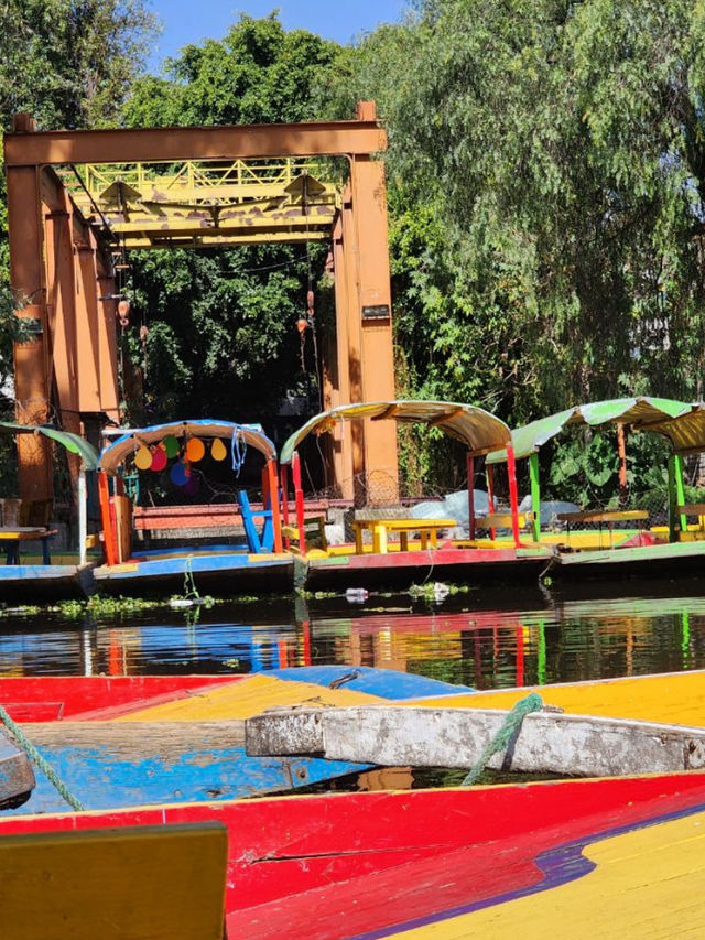 🌵 멕시코 여행 – 마야 문명과 태양 아래 펼쳐진 뜨거운 여정