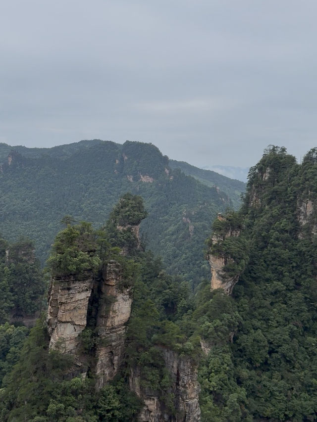 Breathtaking Landscapes of Zhangjiajie