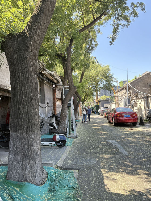 暑假東北自駕壯遊 暑假東北自駕壯遊