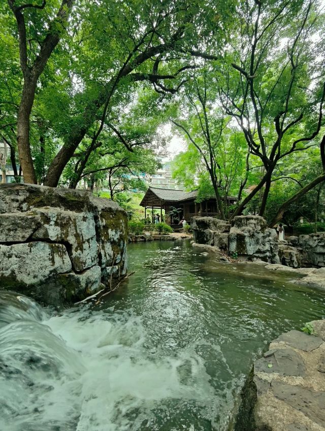 天然氧吧—武陵山國家森林公園—一秒穿越原始叢林的秘境