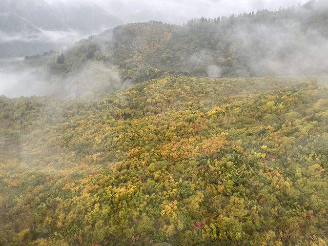 特種兵玩轉昇龍道—富山和立山黑部 特種兵玩轉昇龍道—富山和立山黑部