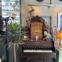 ๐'์ค์ฌ์ฐ' ๋์ ์ ํ๋ ๋นํฐ์ง ๊ฐ์ฑ ์นดํ