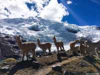 Ausangate Trek, Cusco, Peru